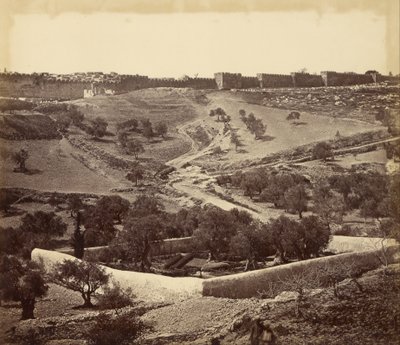 Garden of Gethsemane and Ascent to Stephens Gate, Across the Valley of Jehosephat by James Robertson